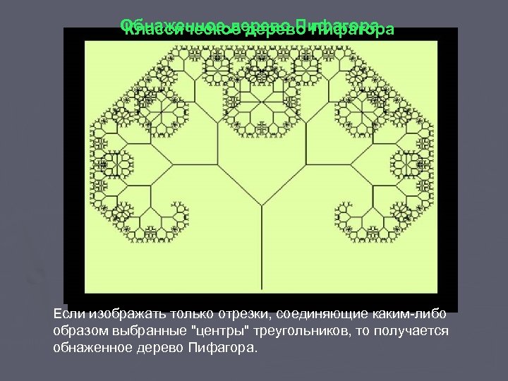 Обнаженное дерево Пифагора Классическое дерево Пифагора Если изображать только отрезки, соединяющие каким-либо образом выбранные