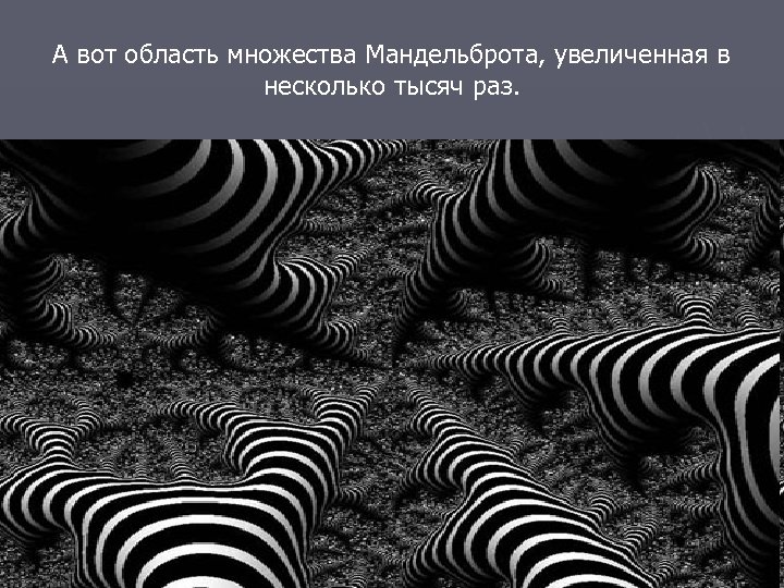 А вот область множества Мандельброта, увеличенная в несколько тысяч раз. 