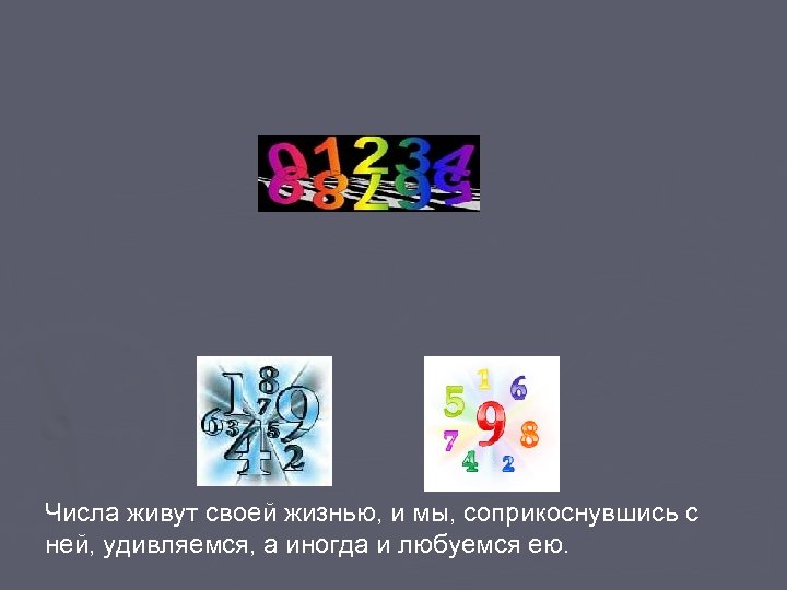 Числа живут своей жизнью, и мы, соприкоснувшись с ней, удивляемся, а иногда и любуемся