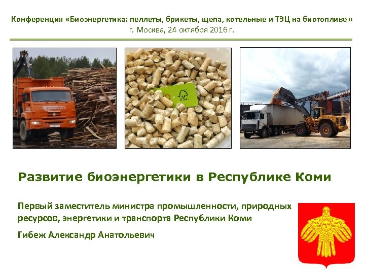 Конференция «Биоэнергетика: пеллеты, брикеты, щепа, котельные и ТЭЦ на биотопливе» г. Москва, 24 октября