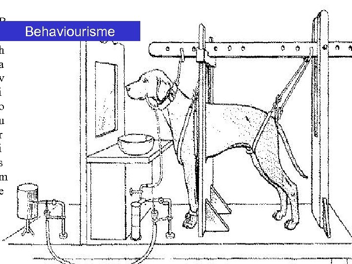 B e h a v i o u r i s m e Behaviourisme