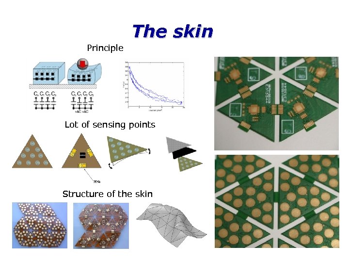 The skin Principle Lot of sensing points Structure of the skin 