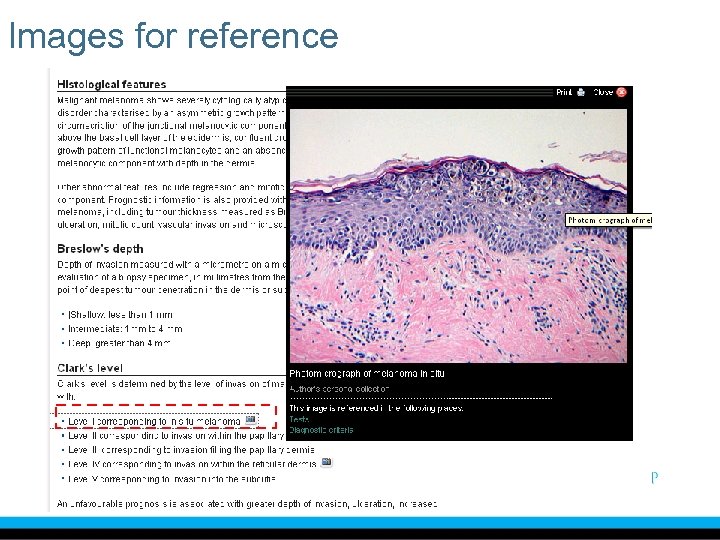 Images for reference 