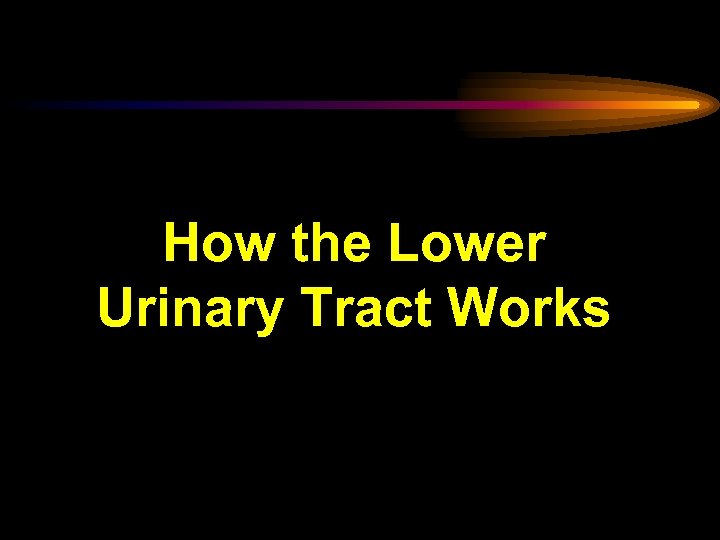 How the Lower Urinary Tract Works 