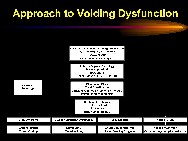 Approach to Voiding Dysfunction 