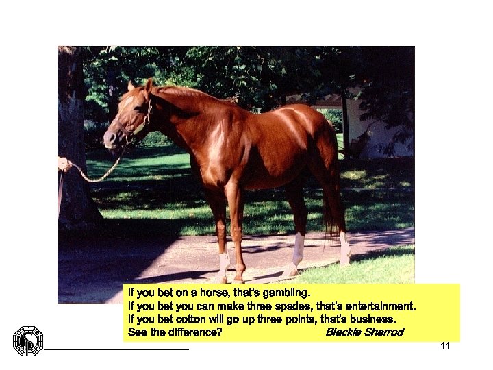 If you bet on a horse, that’s gambling. If you bet you can make