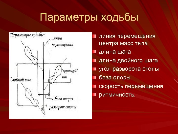 Параметры ходьбы линия перемещения центра масс тела длина шага длина двойного шага угол разворота