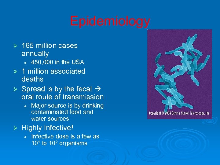 Epidemiology Ø 165 million cases annually l 450, 000 in the USA 1 million