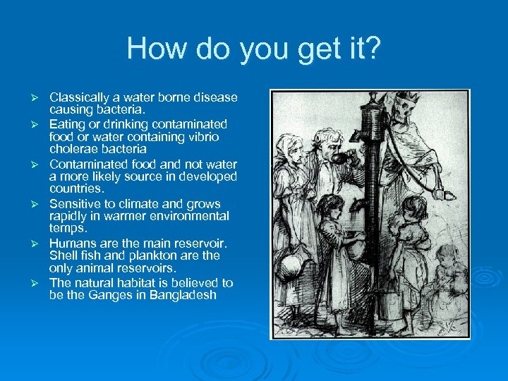 How do you get it? Ø Ø Ø Classically a water borne disease causing