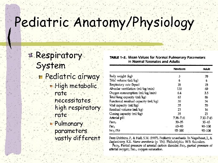 Pediatric Anatomy/Physiology Respiratory System Pediatric airway High metabolic rate necessitates high respiratory rate Pulmonary