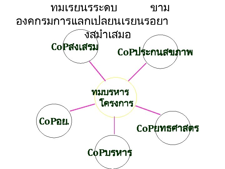 ทมเรยนรระดบ ขาม องคกรมการแลกเปลยนเรยนรอยา งสมำเสมอ Co. Pสงเสรม Co. Pประกนสขภาพ ทมบรหาร โครงการ Co. Pอย. Co. Pยทธศาสตร
