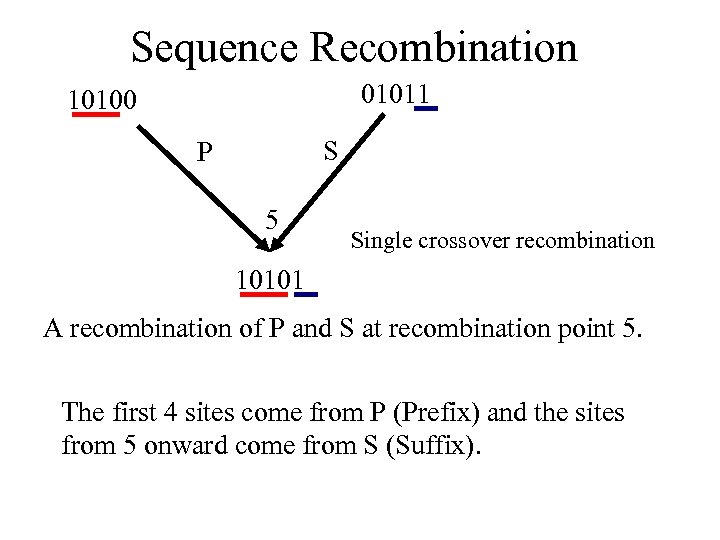 Sequence Recombination 01011 10100 S P 5 Single crossover recombination 10101 A recombination of