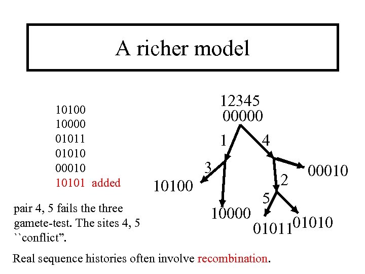 A richer model 10100 10000 01011 01010 00010 10101 added pair 4, 5 fails