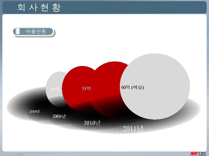 회사현황 매출현황 32억 45억 53억 60억 (예상) 2008년 2009년 2010년 2011년 