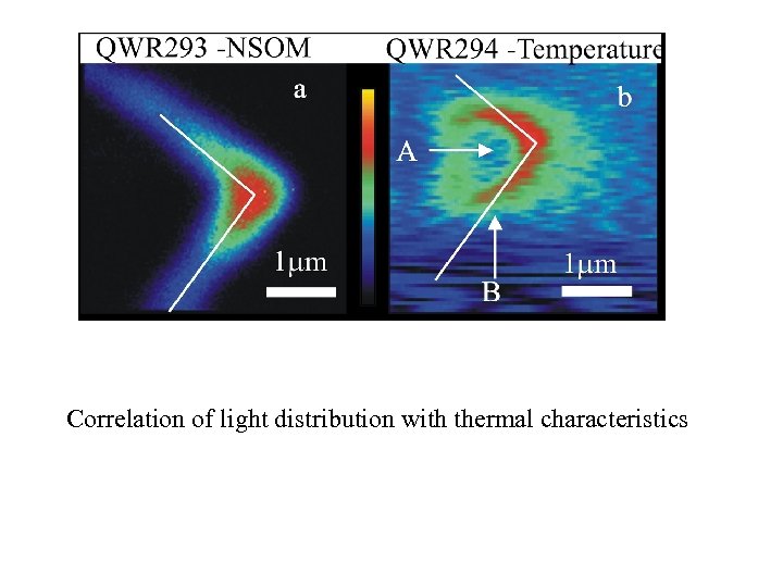 Correlation of light distribution with thermal characteristics 