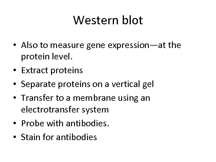 Western blot • Also to measure gene expression—at the protein level. • Extract proteins