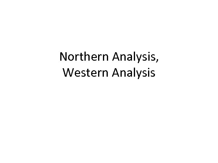 Northern Analysis, Western Analysis 