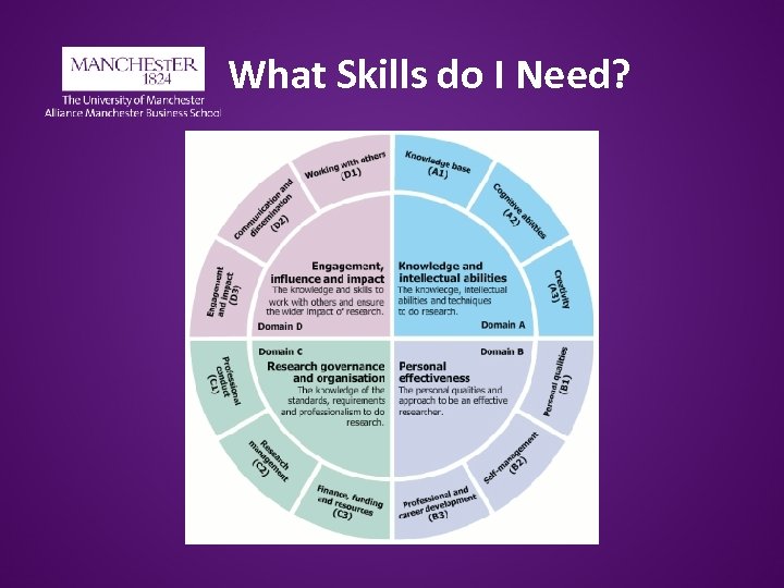 What Skills do I Need? 