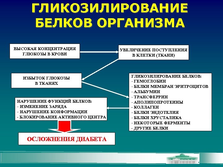 ГЛИКОЗИЛИРОВАНИЕ БЕЛКОВ ОРГАНИЗМА ВЫСОКАЯ КОНЦЕНТРАЦИЯ ГЛЮКОЗЫ В КРОВИ ИЗБЫТОК ГЛЮКОЗЫ В ТКАНЯХ НАРУШЕНИЕ ФУНКЦИЙ