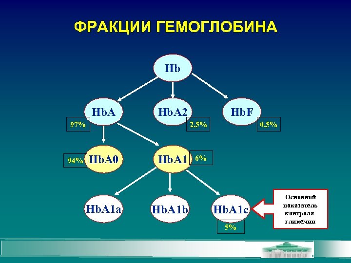 ФРАКЦИИ ГЕМОГЛОБИНА Hb Hb. A 2 2. 5% 97% 94% Hb. F Hb. A