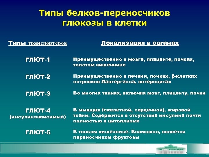 Типы белков-переносчиков глюкозы в клетки Типы транспортеров Локализация в органах ГЛЮТ-1 Преимущественно в мозге,