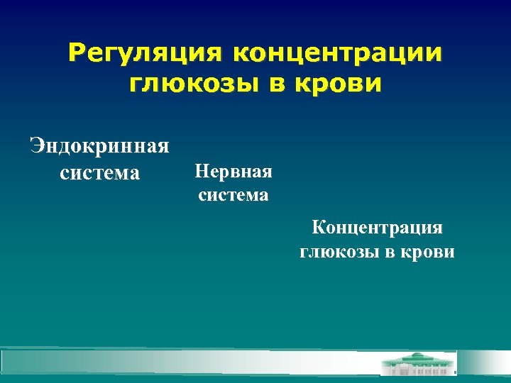 Регуляция концентрации глюкозы в крови Эндокринная система Нервная система Концентрация глюкозы в крови 