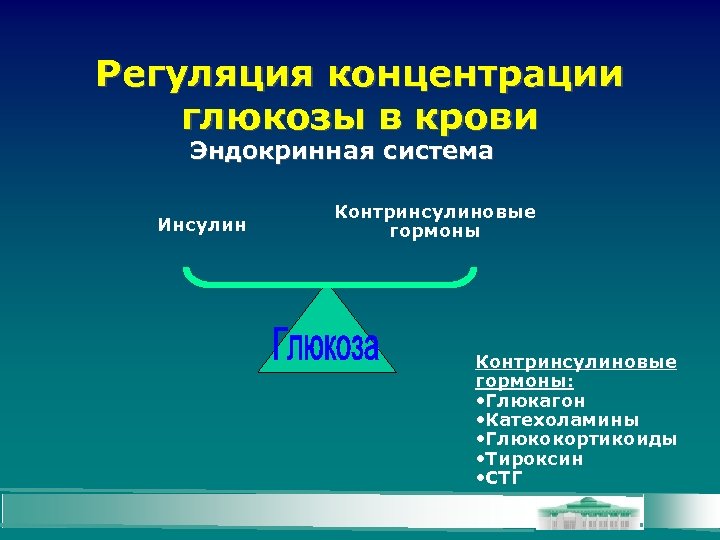 Регуляция концентрации глюкозы в крови Эндокринная система Инсулин Контринсулиновые гормоны: • Глюкагон • Катехоламины