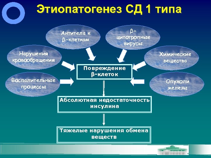 Этиопатогенез СД 1 типа Антитела к β-клеткам βцитотропные вирусы Нарушения кровообращения Воспалительные процессы Химические