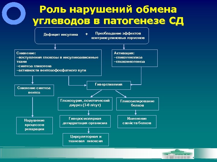 Роль нарушений обмена углеводов в патогенезе СД Дефицит инсулина + Преобладание эффектов контринсулиновых гормонов