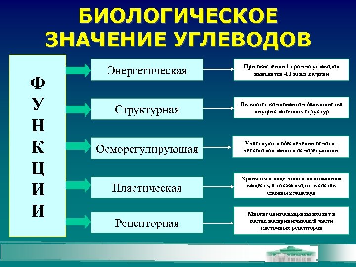 БИОЛОГИЧЕСКОЕ ЗНАЧЕНИЕ УГЛЕВОДОВ Ф У Н К Ц И И Энергетическая При окислении 1