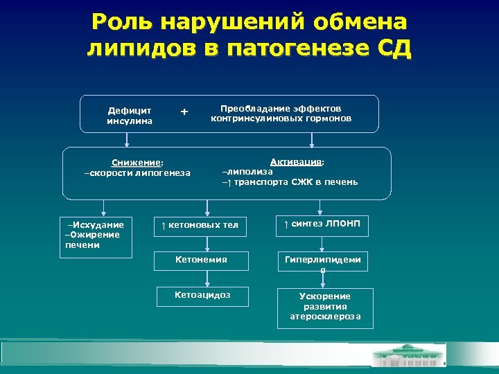 Роль нарушений обмена липидов в патогенезе СД Дефицит инсулина + Снижение: -скорости липогенеза -Исхудание