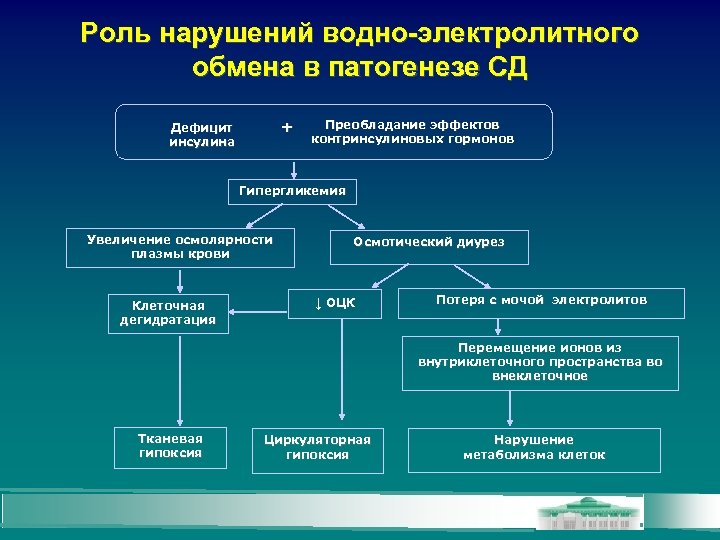 Роль нарушений водно-электролитного обмена в патогенезе СД + Дефицит инсулина Преобладание эффектов контринсулиновых гормонов