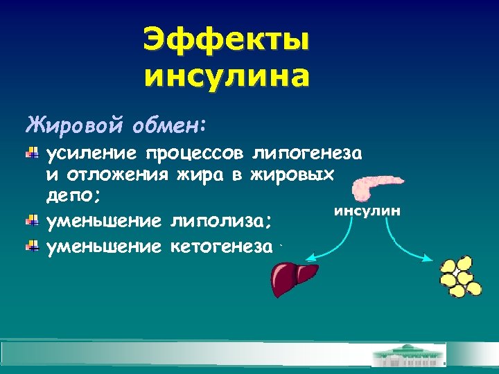 Эффекты инсулина Жировой обмен: усиление процессов липогенеза и отложения жира в жировых депо; инсулин