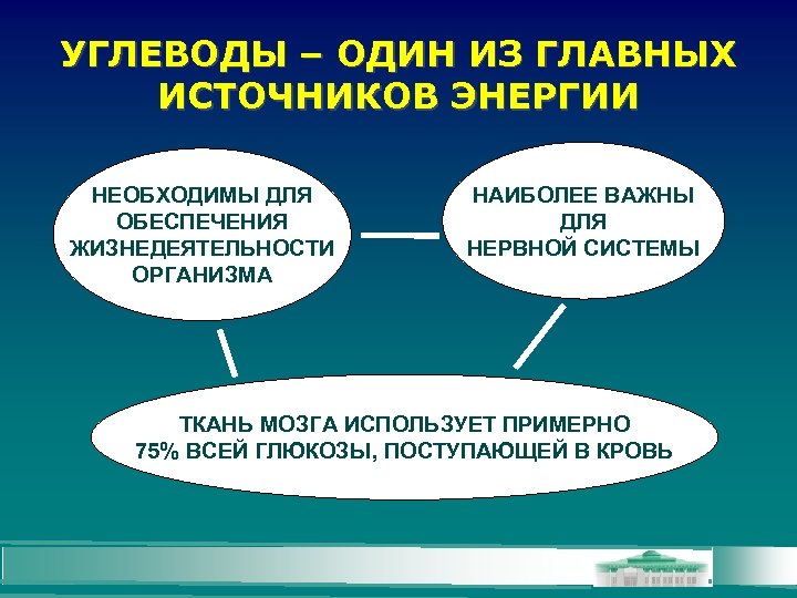 УГЛЕВОДЫ – ОДИН ИЗ ГЛАВНЫХ ИСТОЧНИКОВ ЭНЕРГИИ НЕОБХОДИМЫ ДЛЯ ОБЕСПЕЧЕНИЯ ЖИЗНЕДЕЯТЕЛЬНОСТИ ОРГАНИЗМА НАИБОЛЕЕ ВАЖНЫ