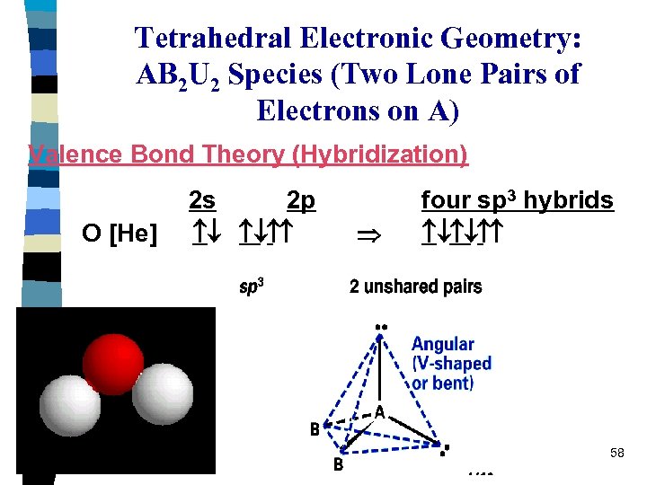 Tetrahedral Electronic Geometry: AB 2 U 2 Species (Two Lone Pairs of Electrons on
