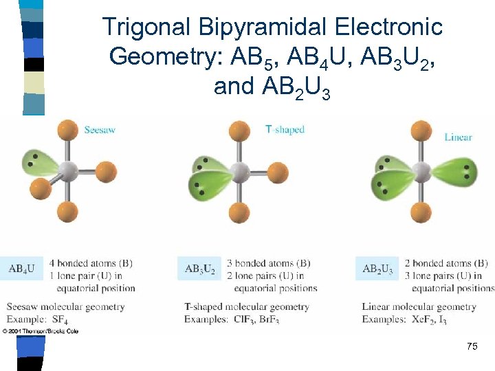 Trigonal Bipyramidal Electronic Geometry: AB 5, AB 4 U, AB 3 U 2, and