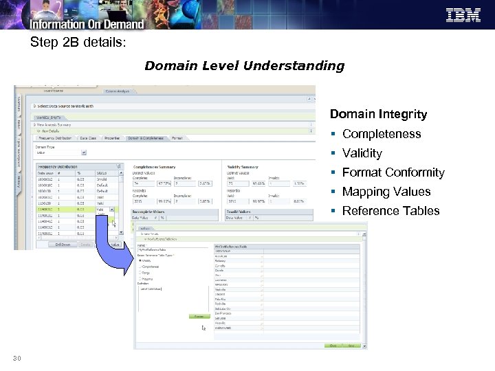 Step 2 B details: Domain Level Understanding Domain Integrity § Completeness § Validity §