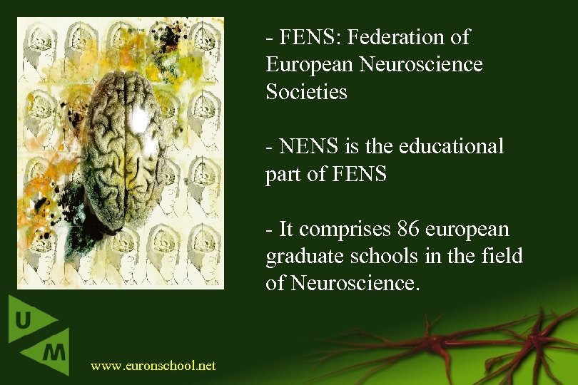 - FENS: Federation of European Neuroscience Societies - NENS is the educational part of