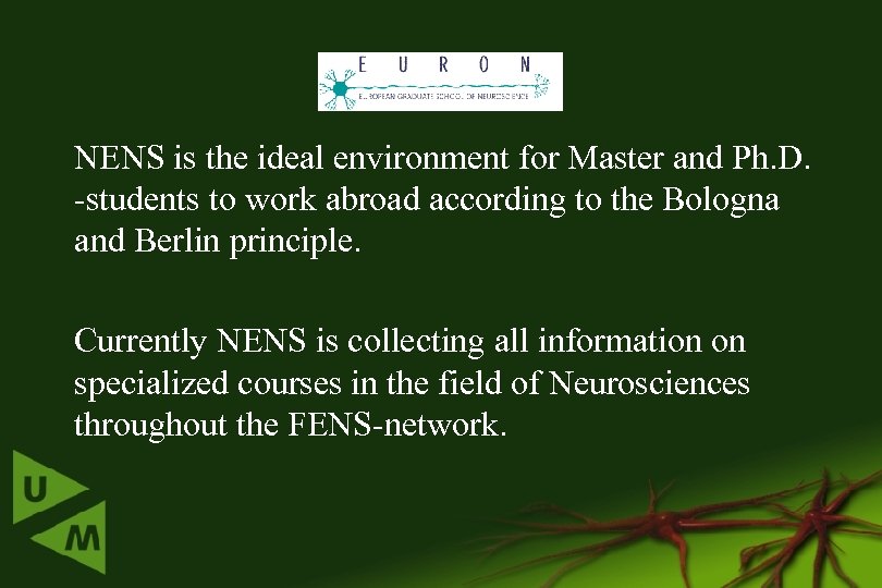 NENS is the ideal environment for Master and Ph. D. -students to work abroad