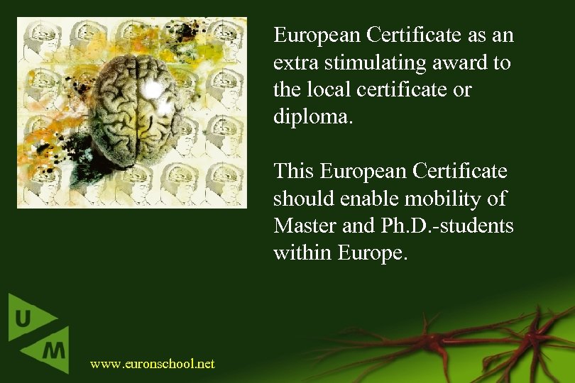 European Certificate as an extra stimulating award to the local certificate or diploma. This