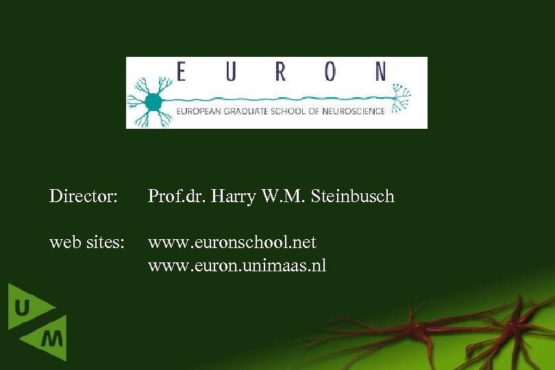 Director: Prof. dr. Harry W. M. Steinbusch web sites: www. euronschool. net www. euron.