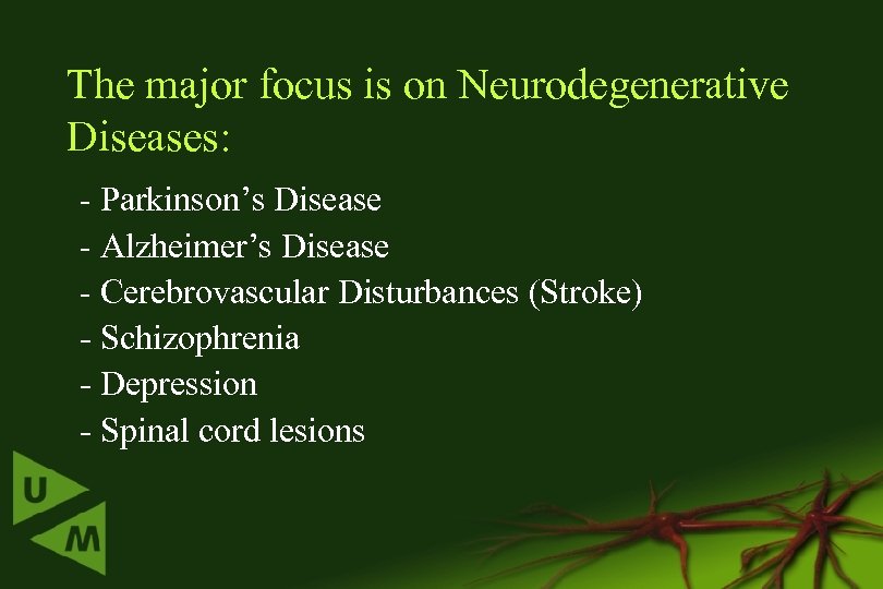 The major focus is on Neurodegenerative Diseases: - Parkinson’s Disease - Alzheimer’s Disease -