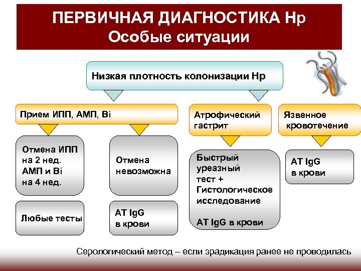 ПЕРВИЧНАЯ ДИАГНОСТИКА Нр Особые ситуации Низкая плотность колонизации Нр Прием ИПП, АМП, Bi Атрофический