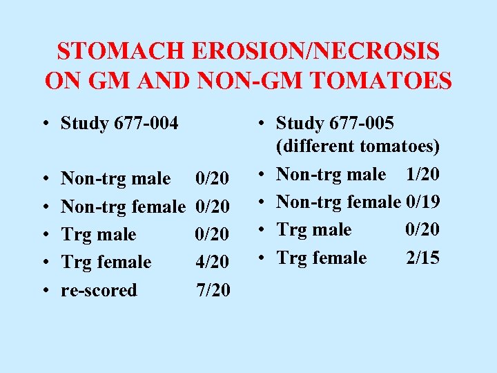 STOMACH EROSION/NECROSIS ON GM AND NON-GM TOMATOES • Study 677 -004 • • •