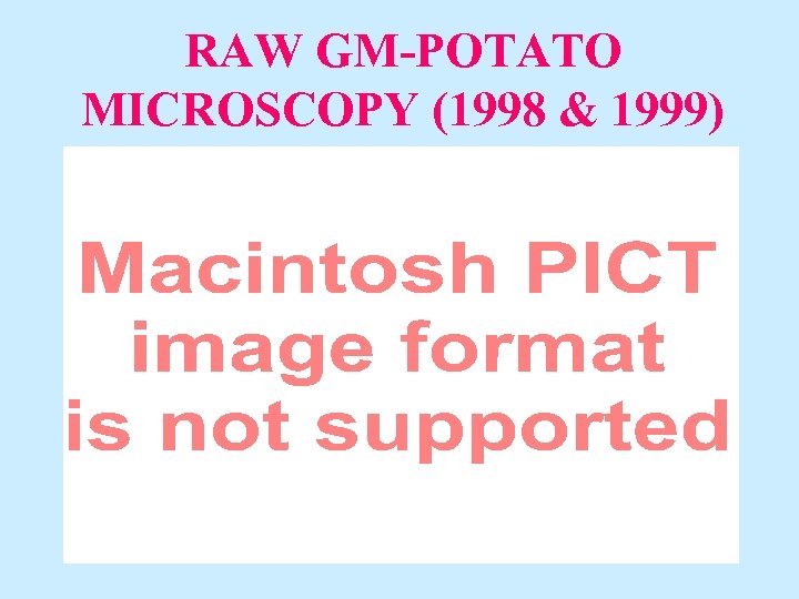 RAW GM-POTATO MICROSCOPY (1998 & 1999) 