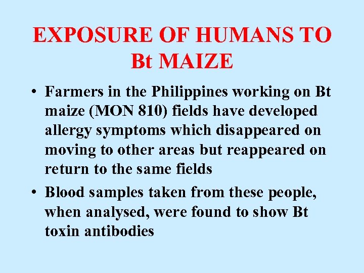 EXPOSURE OF HUMANS TO Bt MAIZE • Farmers in the Philippines working on Bt