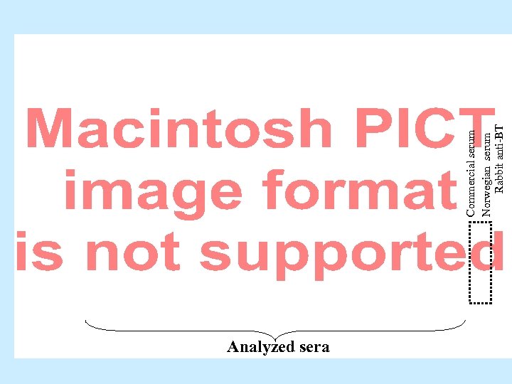 Analyzed sera Commercial serum Norwegian serum Rabbit anti-BT 