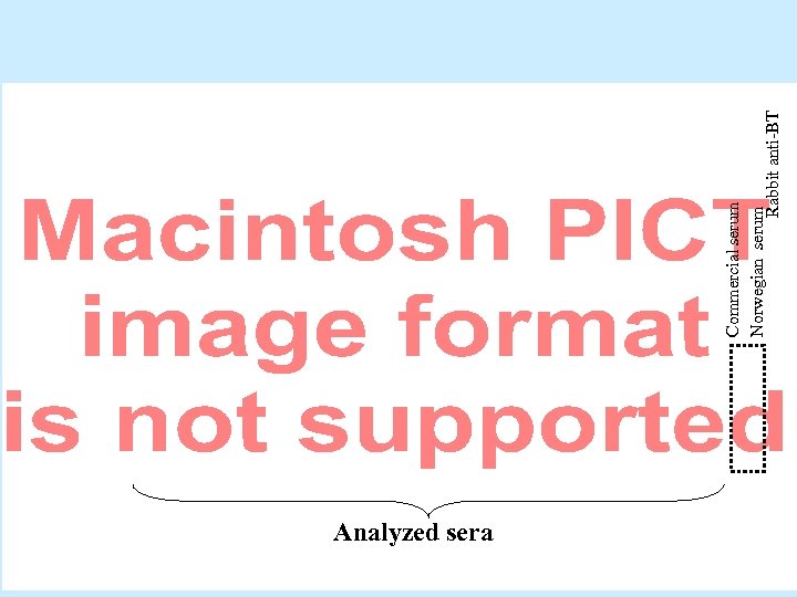 Analyzed sera Commercial serum Norwegian serum Rabbit anti-BT 