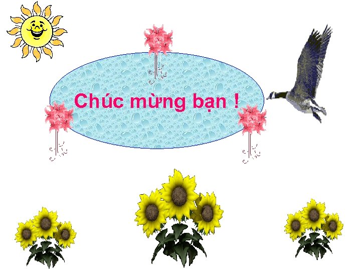 Chúc mừng bạn ! 