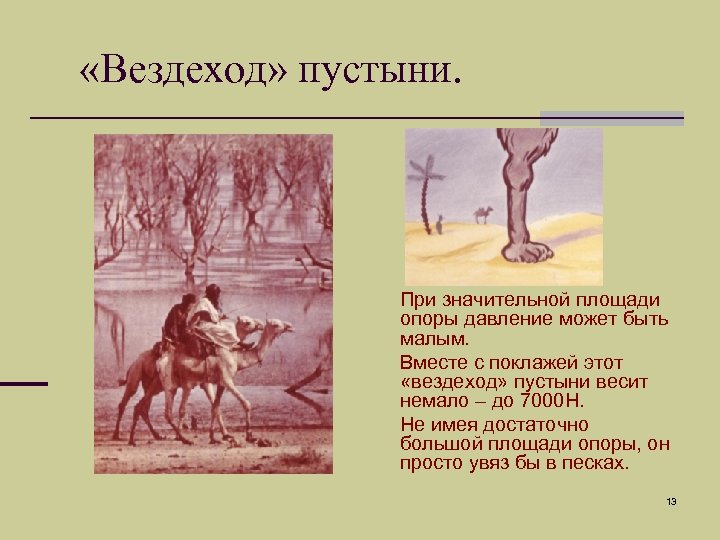  «Вездеход» пустыни. При значительной площади опоры давление может быть малым. Вместе с поклажей